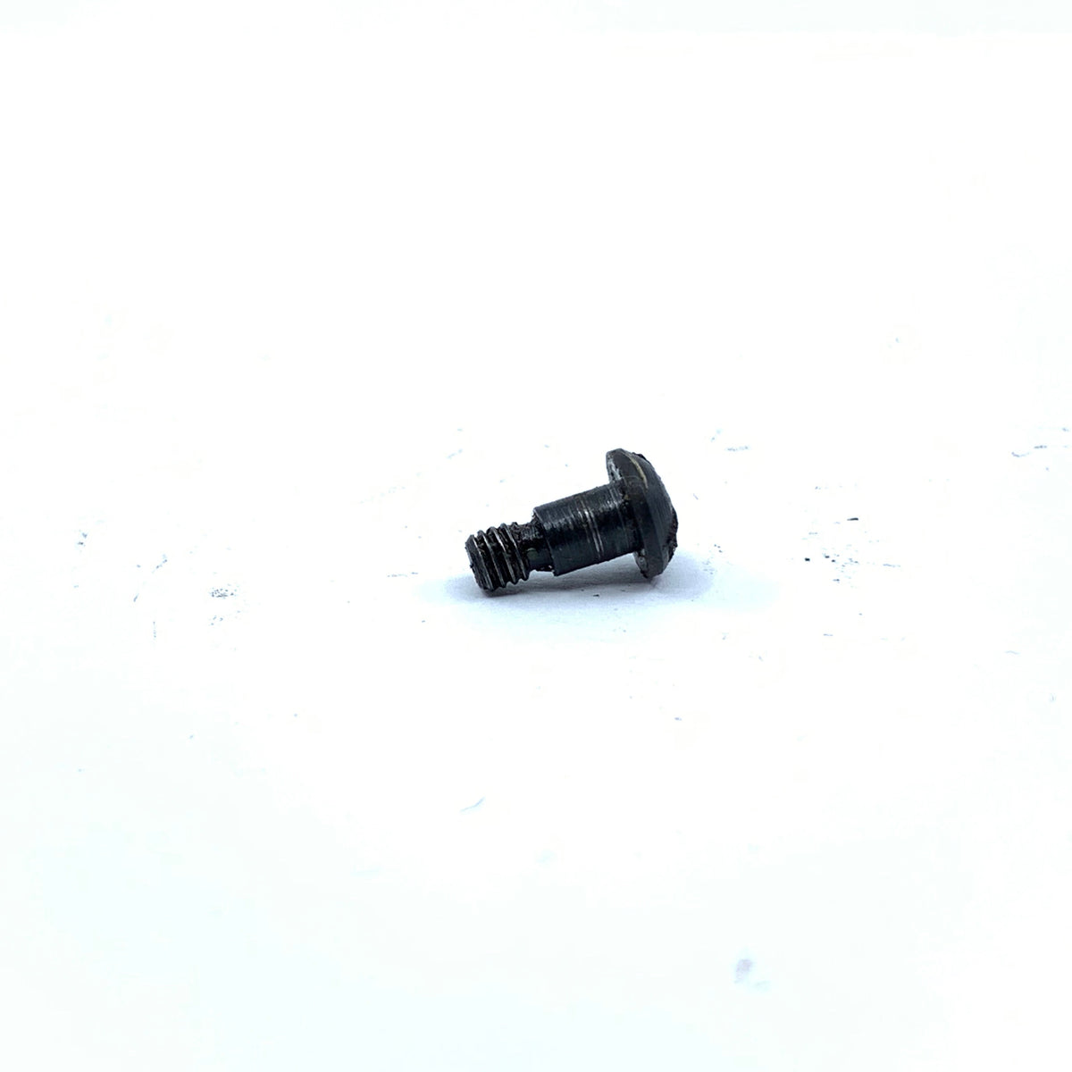 Harrington &amp; Richardson Model 349 12GA Safety Lever Screw Rear